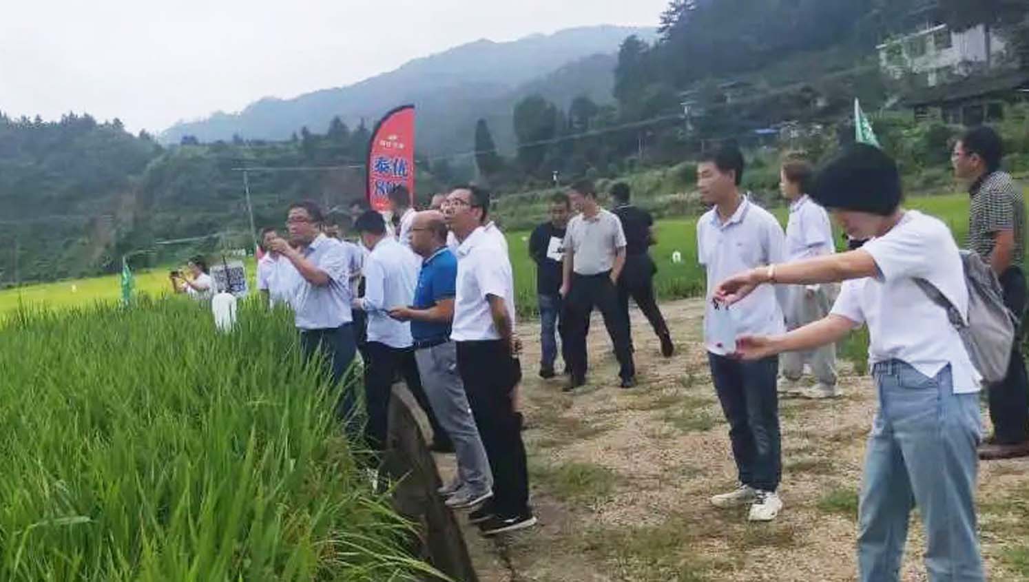 贵州省2021年杂交水稻制种科学施肥技术交流座谈会顺利召开！